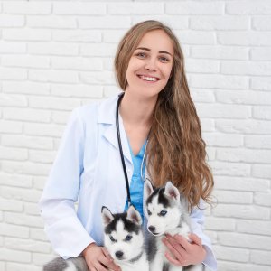 Βοηθός Κτηνιατρικής Κλινικής - Pet Grooming (Προκαταβολή)